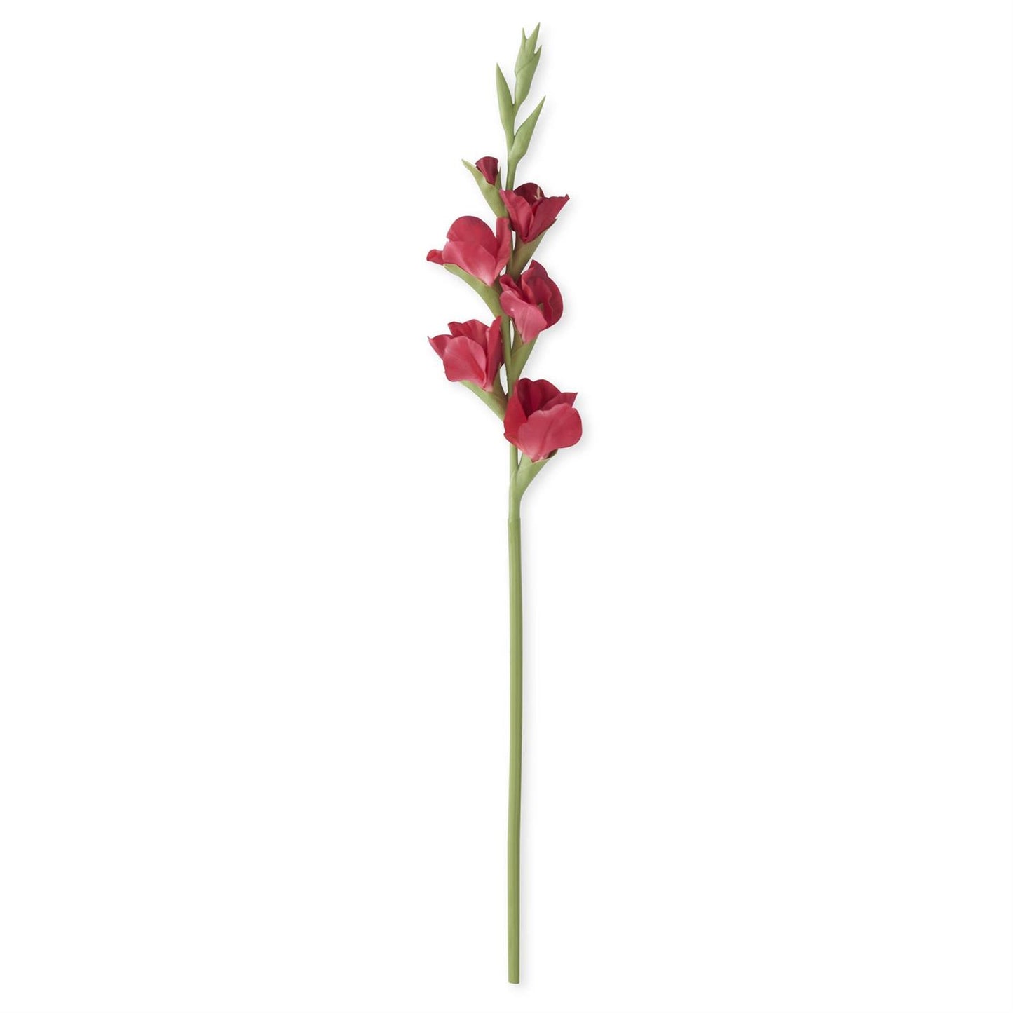 Fuchsia Real Touch Gladiolus