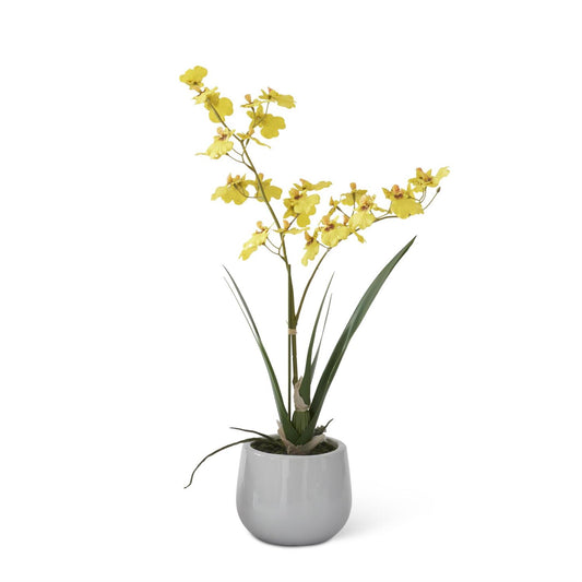 Real Touch Yellow Orchid