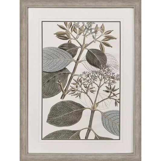 Flowering Botanical Artwork
