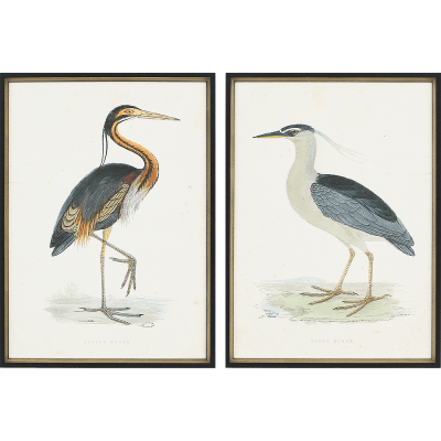 Vintage Heron Prints