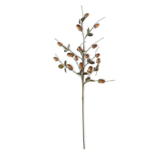 Acorn Stem