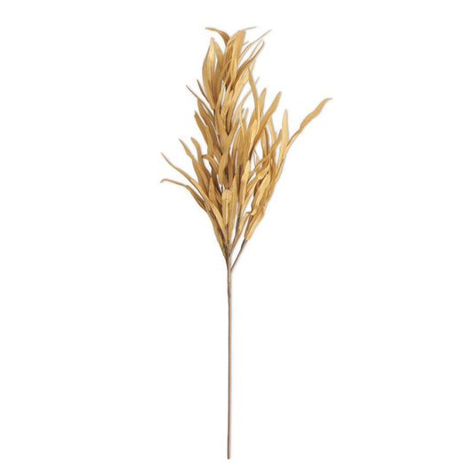 Eva Grass Stem