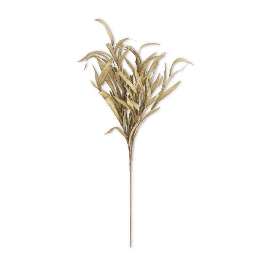 Eva Grass Stem