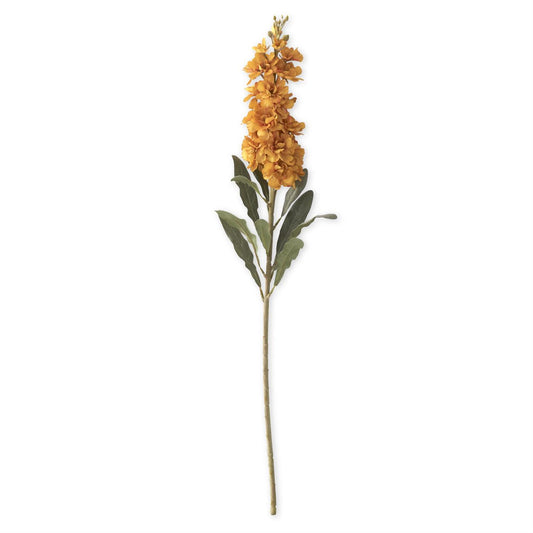 Golden Yellow Stock Stem