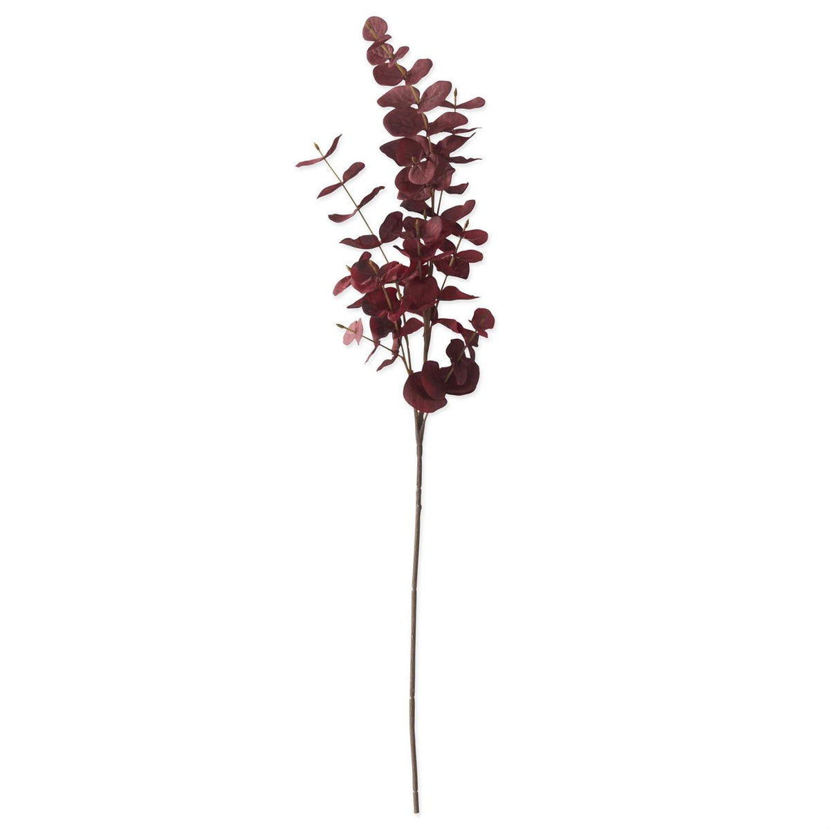 Burgundy Eucalyptus Stem