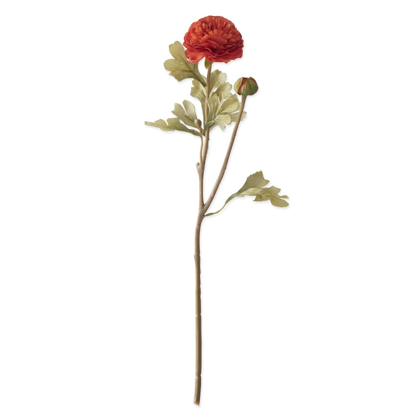 Orange Blossom & Bud Ranunculus