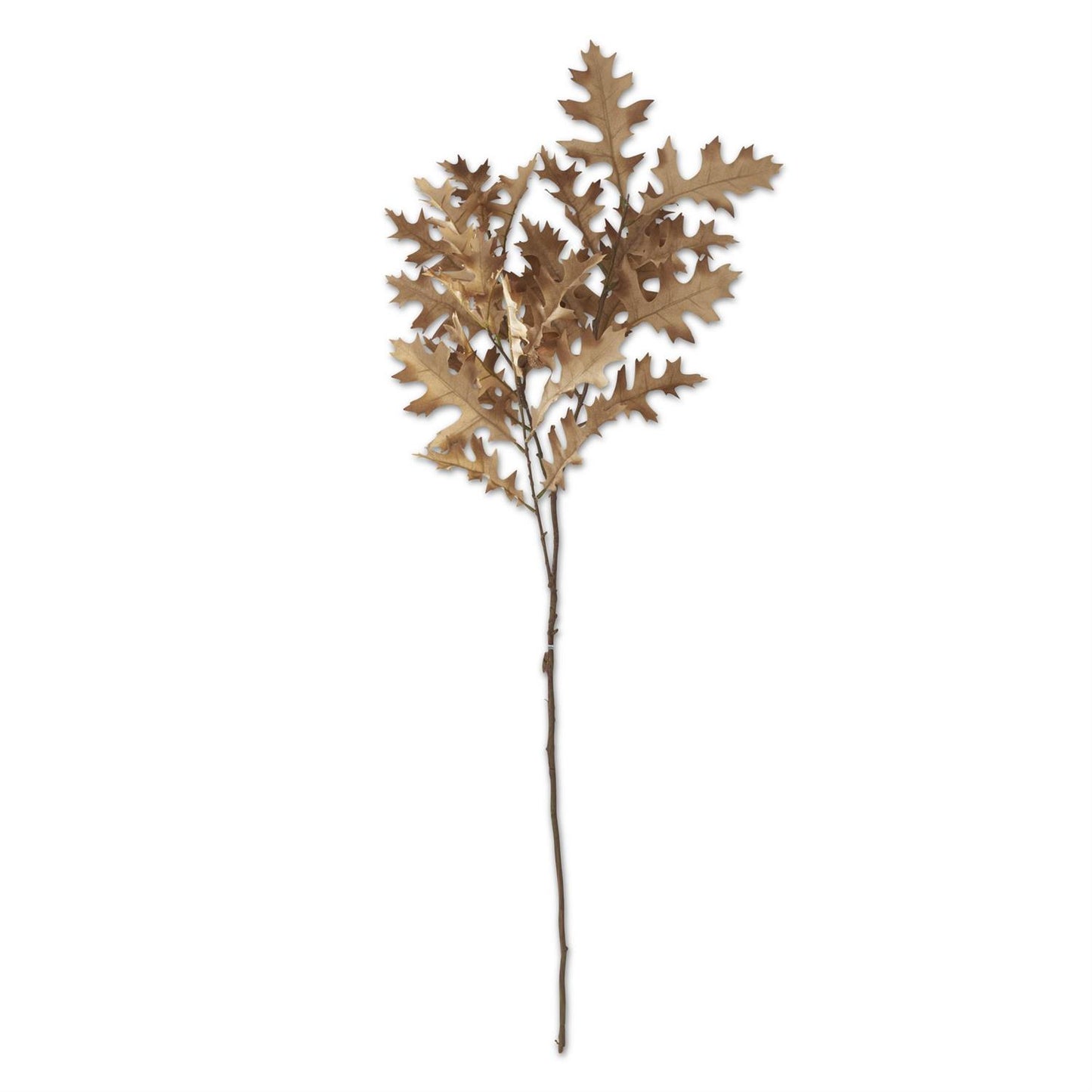Cream Oak Leaf Spray