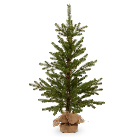 Noble Fir Tree In Burlap Bag