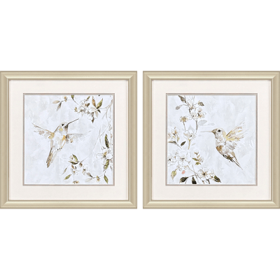 Hummingbird Song Framed Art - Set of 2