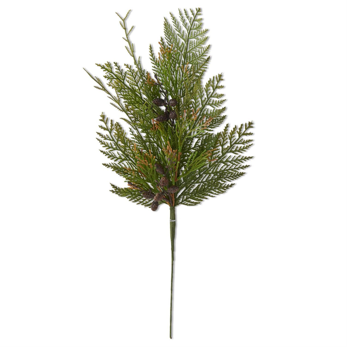 Juniper Pine Stem with Mini Pinecones
