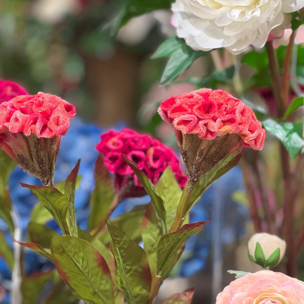 Like Like Celosia Floral Stem
