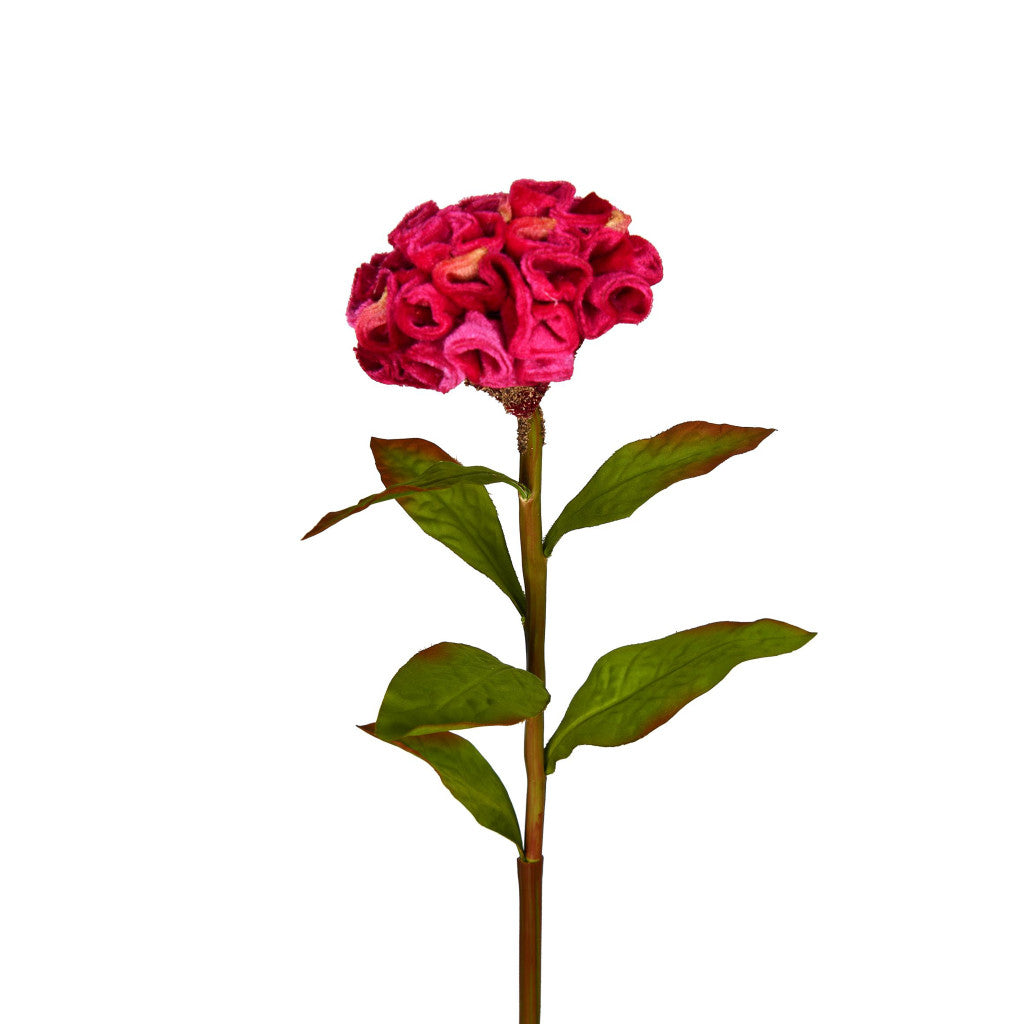 Like Like Celosia Floral Stem