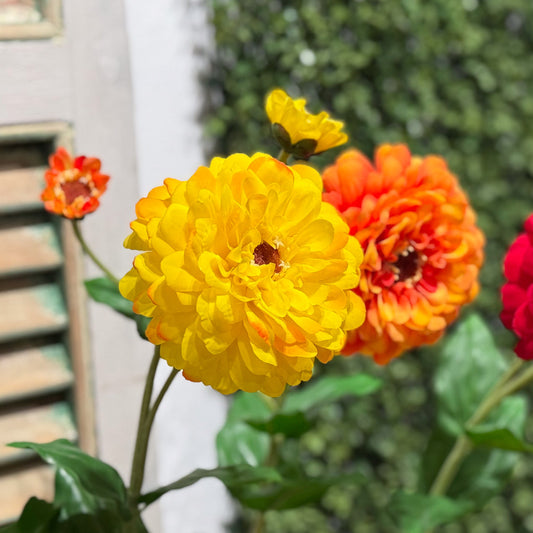 Life-like Zinnia Stem