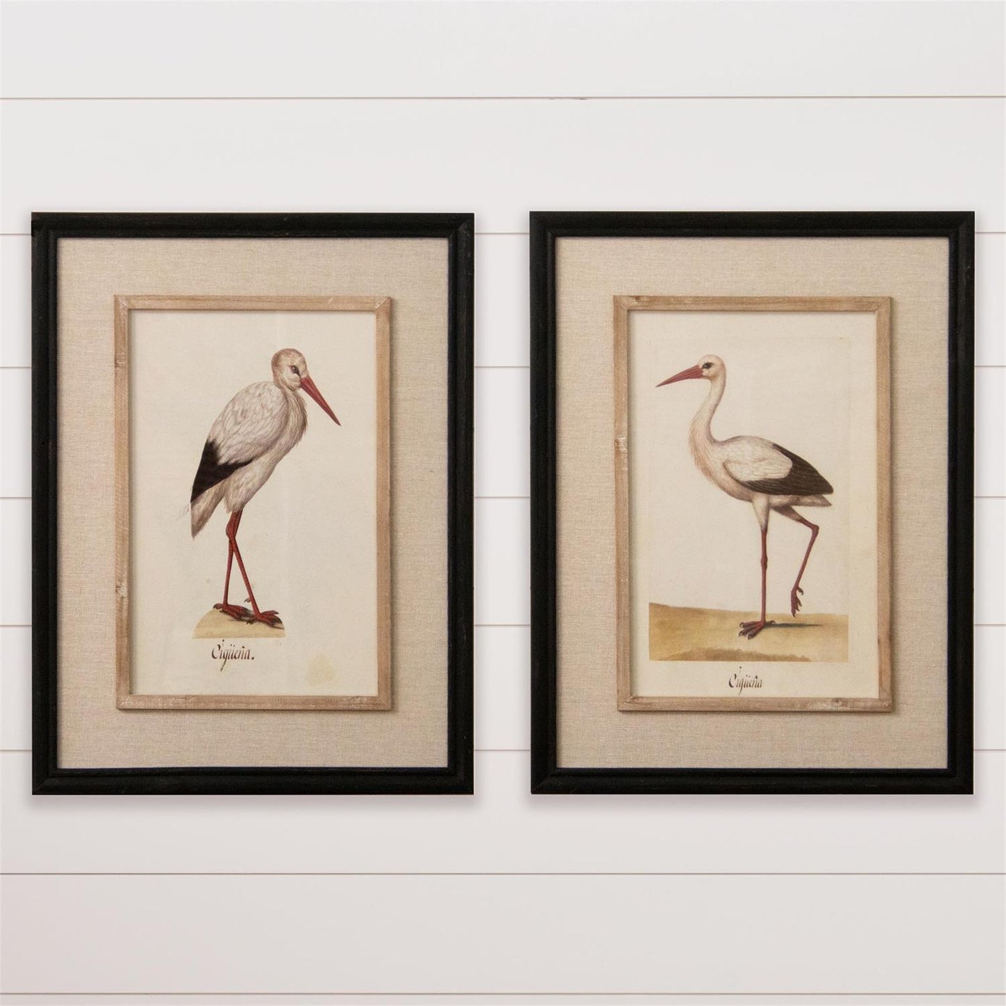 Framed Heron Prints