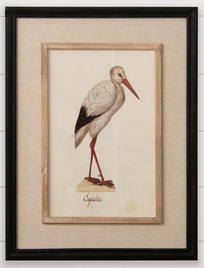Framed Heron Prints