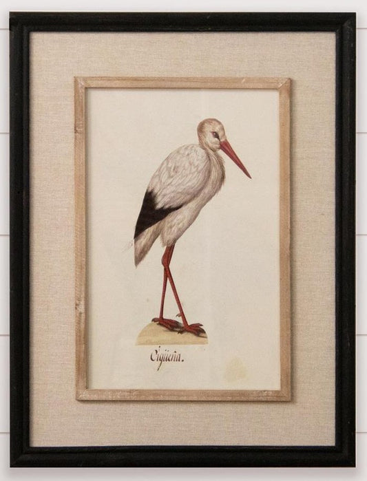 Framed Heron Prints