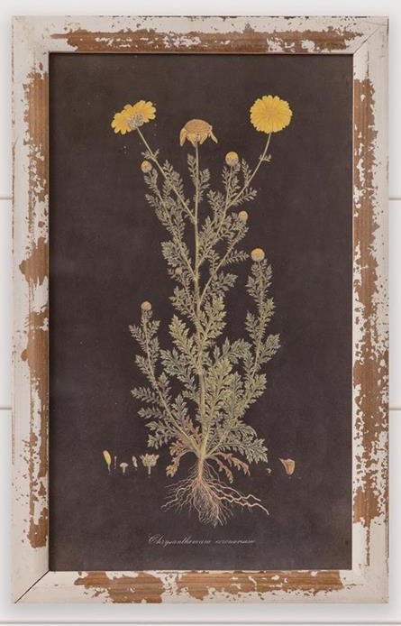 Yellow Flowers Framed Print