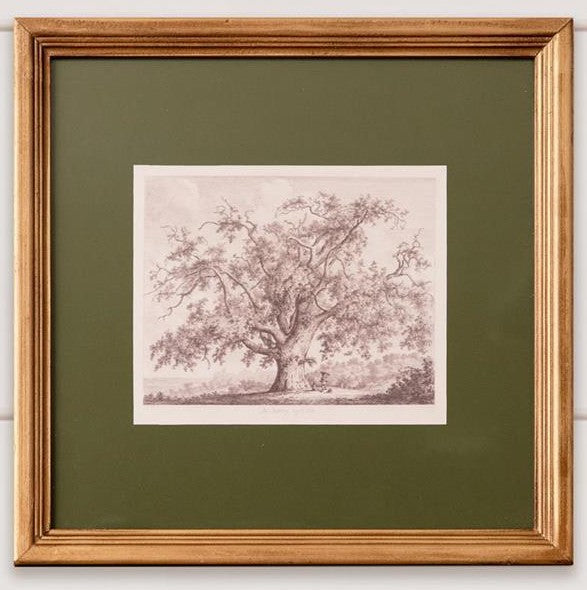 Matted Tree Sketch
