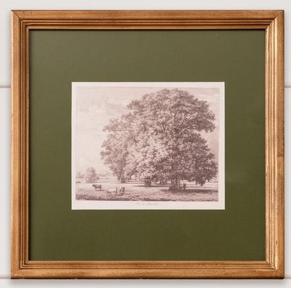 Matted Tree Sketch