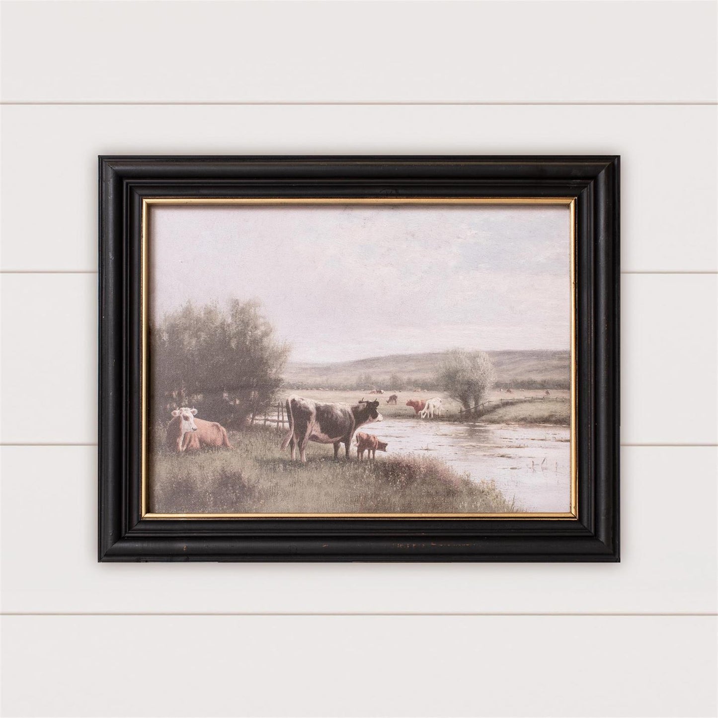 Framed Print - Cattle Grazing by the River