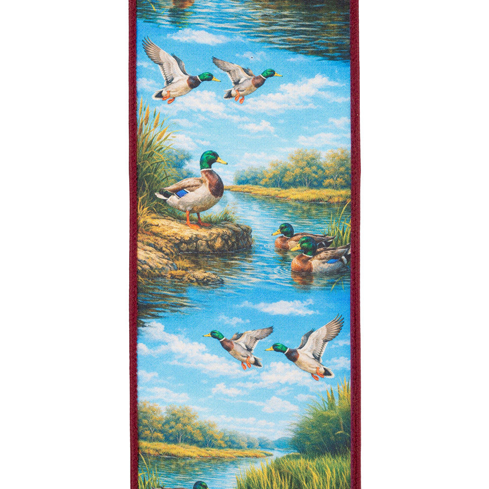 Mallard Duck Ribbon - 4" x 10yds