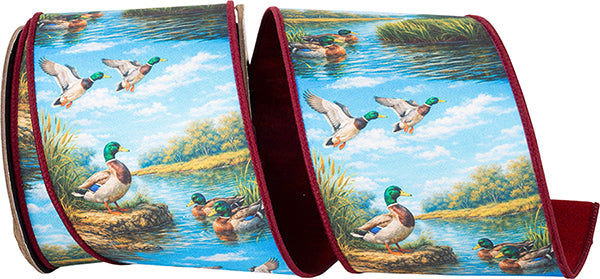 Mallard Duck Ribbon - 4" x 10yds