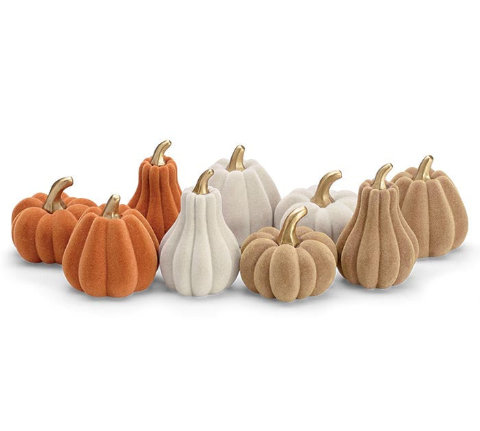 Harvest Pumpkins