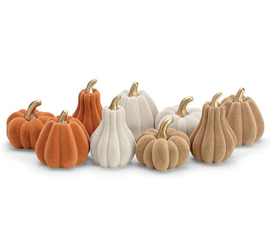 Harvest Pumpkins