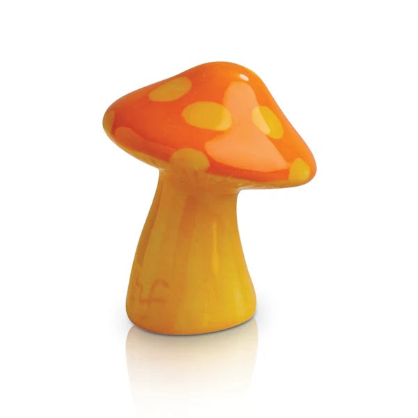 Funky Fungi Mushroom Mini