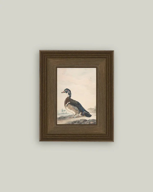 A Duck Wall Art