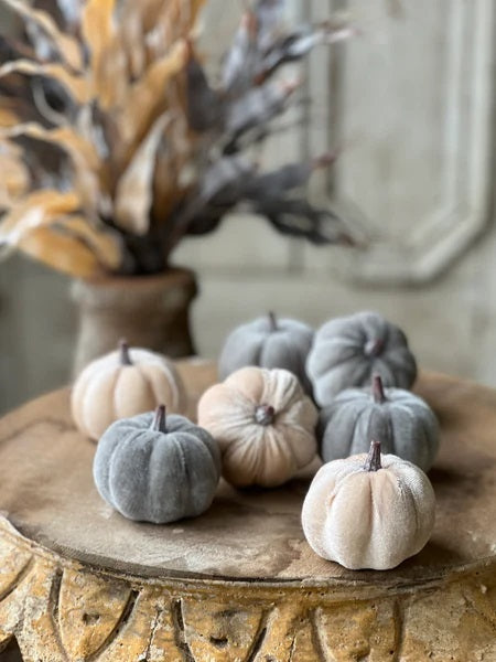 Velveteen Pumpkins