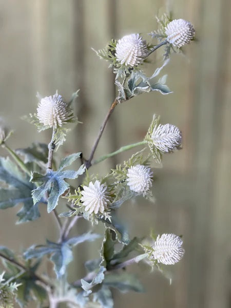 Field Flowers Stem