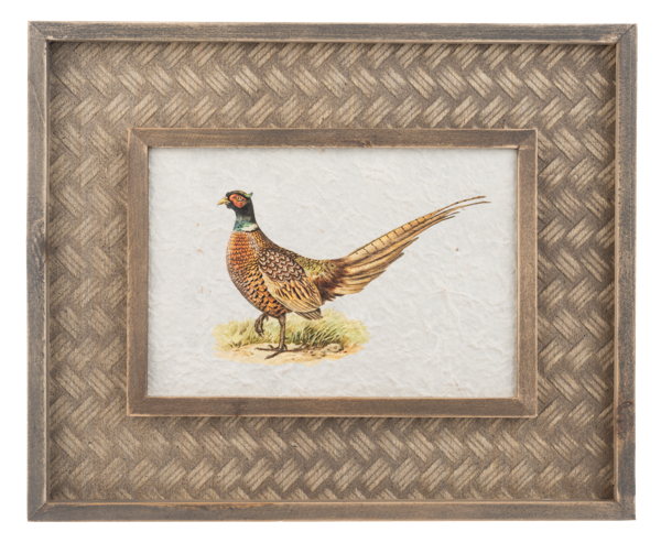 Pheasant Wall Decor