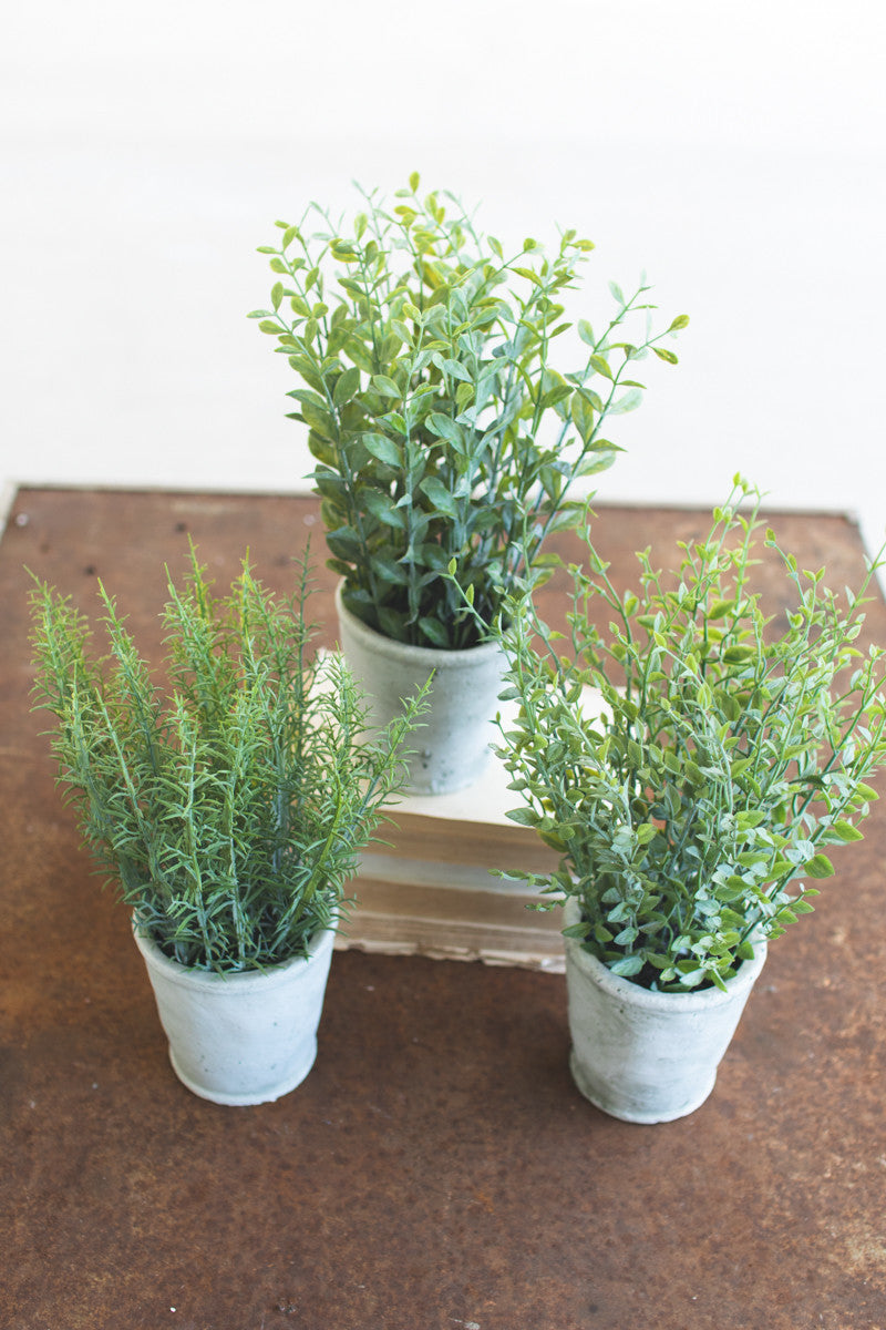 Artificial Herb in Cement Pot