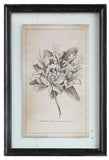 Framed Wall Decor with Floral Image, Choice of 4