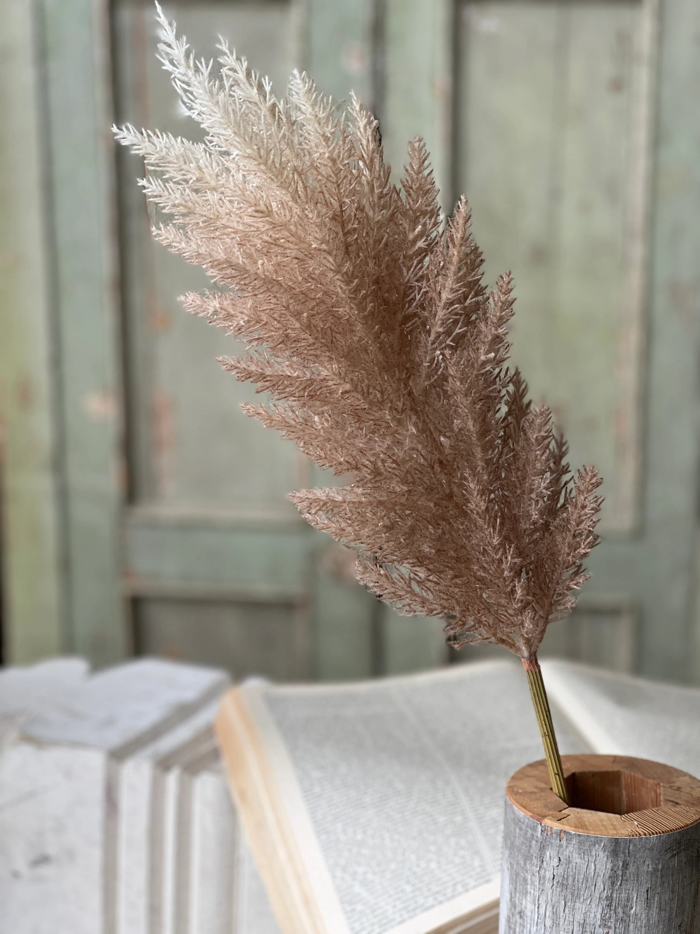 Scattershot Plume Grass