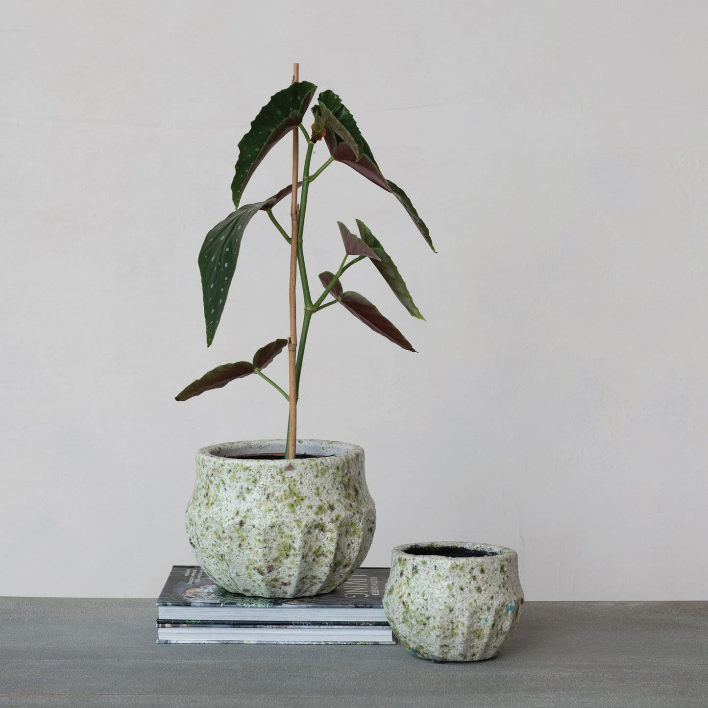 Terra-cotta Planter