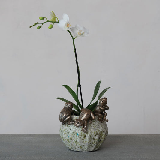 Resin Frog Pot Hanger