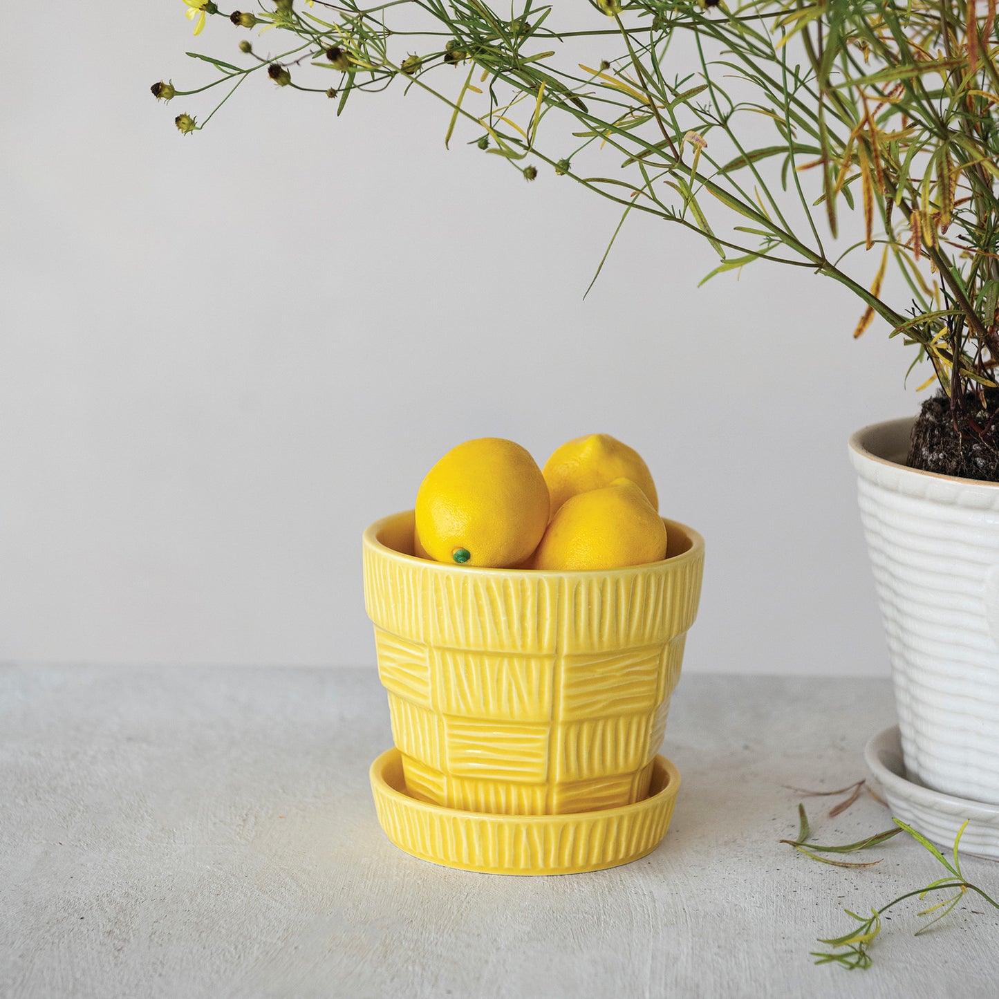 Vintage Reproduction Planter with Saucer