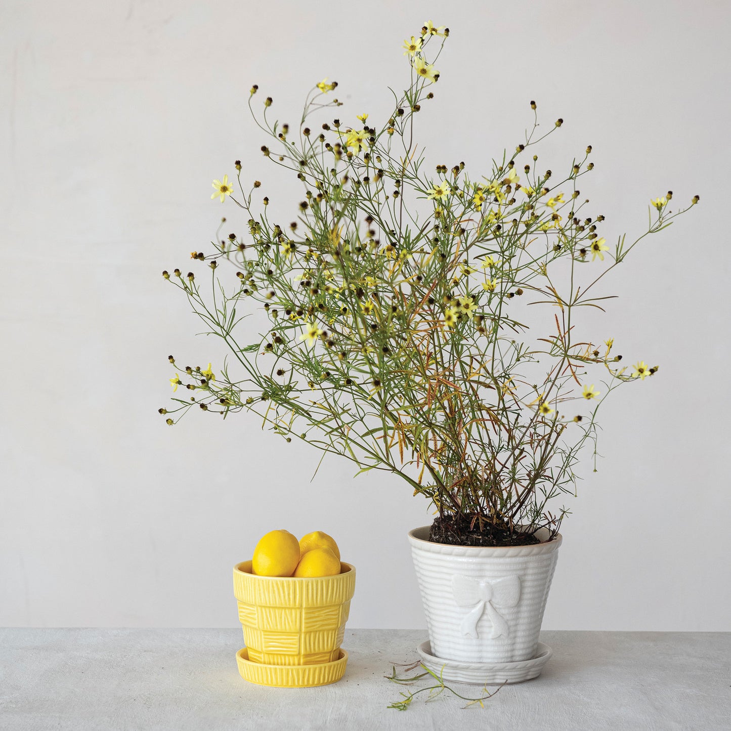 Vintage Reproduction Planter with Saucer