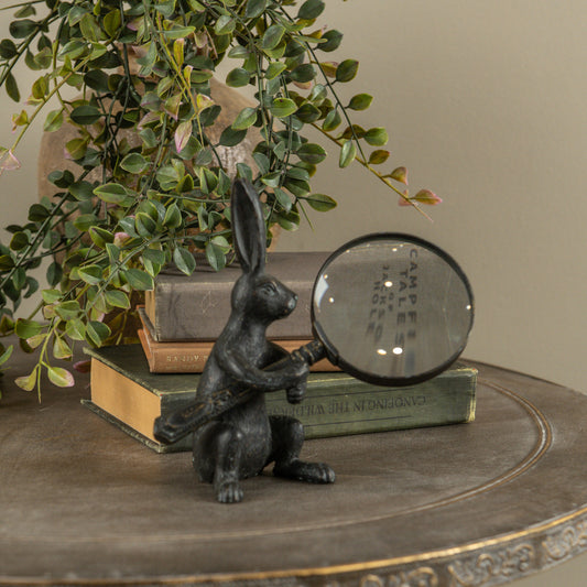 Bunny with Magnifying Glass