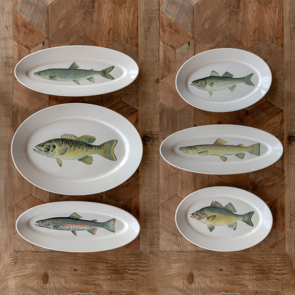 Collected Fish Platters (Choice of 6)