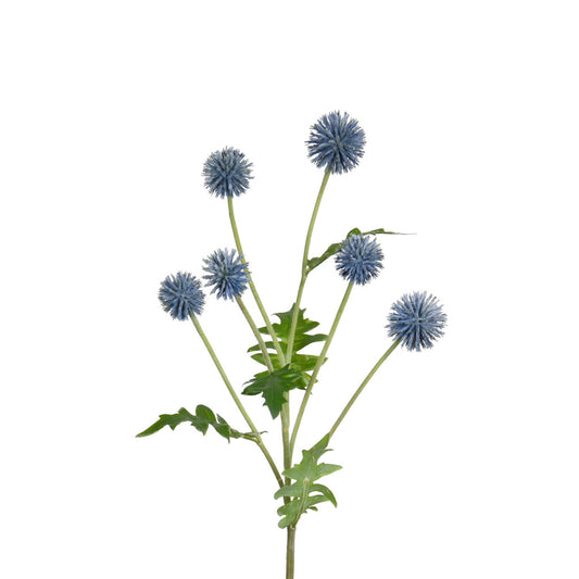 Echinops Spray