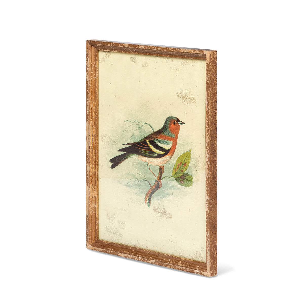 Vintage Bird Framed Prints