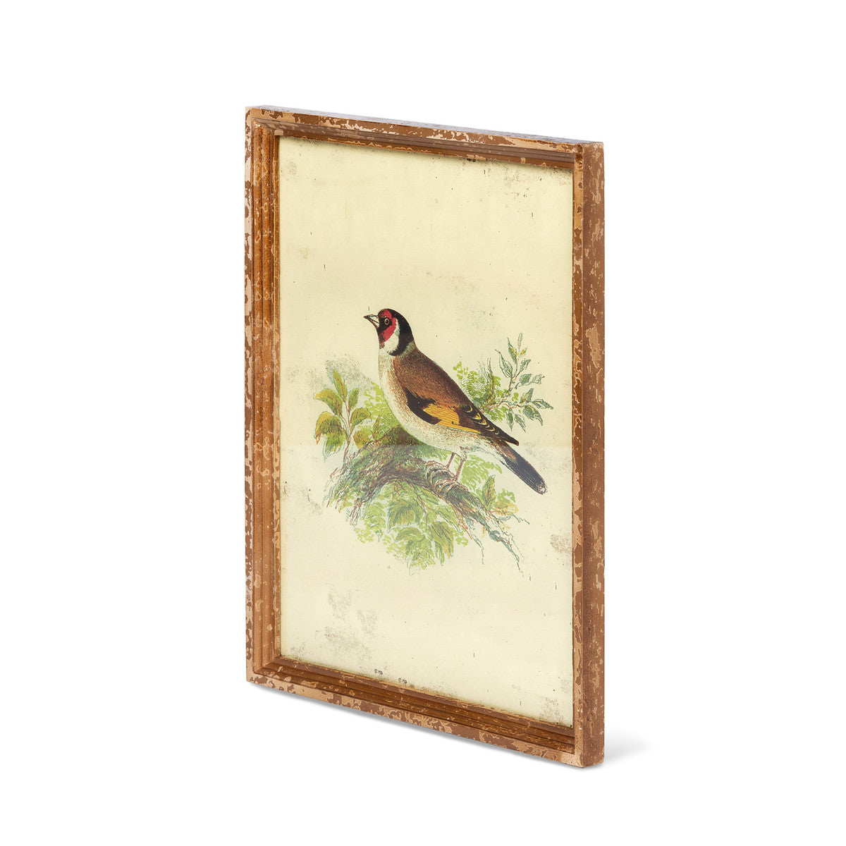 Vintage Bird Framed Prints