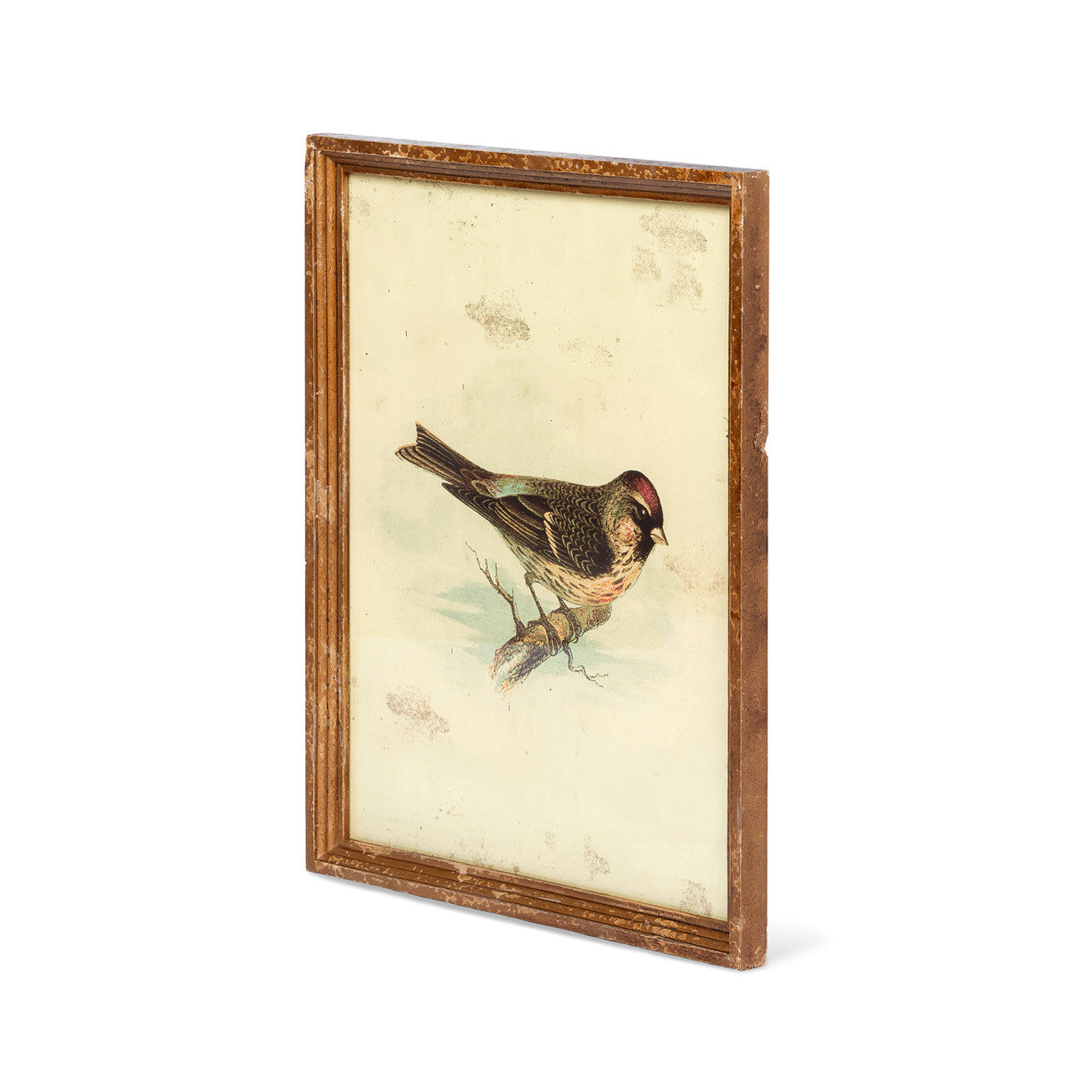 Vintage Bird Framed Prints