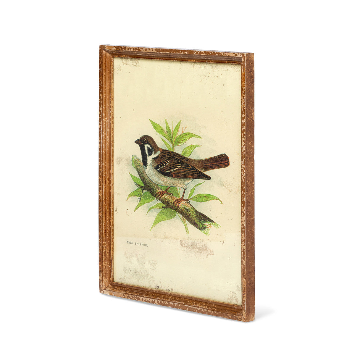 Vintage Bird Framed Prints