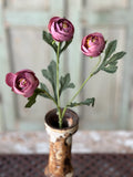 Lenten Rose Spray