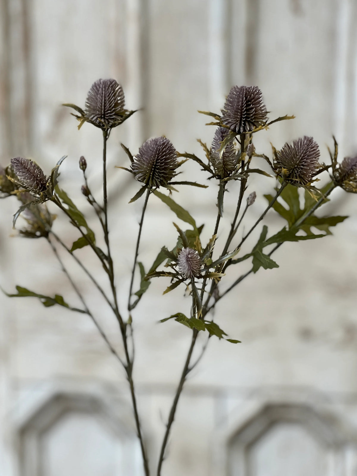 Gomphrena Spray