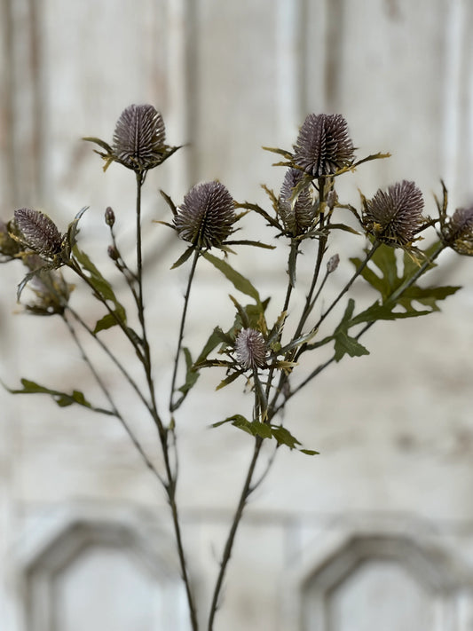 Gomphrena Spray